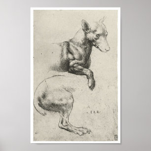Poster Estudo de um Cão, Leonardo Da Vinci