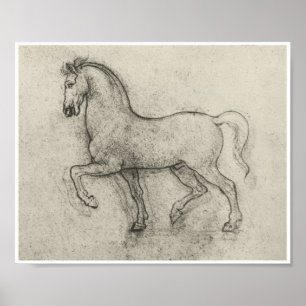 Poster Estudo de um cavalo, Leonardo da Vinci