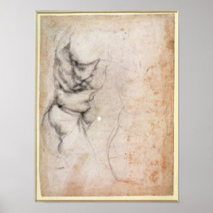 Poster Estudo do torso e da nádega