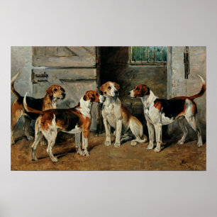 Póster Estudo dos cães