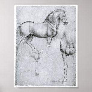 Póster Estudo dos cavalos, Leonardo da Vinci