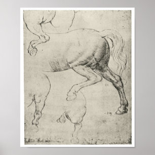 Poster Estudo dos Hindquarters de um cavalo, da Vinci