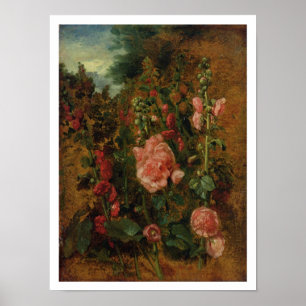 Poster Estudo dos Hollyhocks, c.1826 (óleo a bordo)
