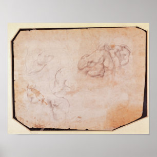 Póster Estudo dos músculos