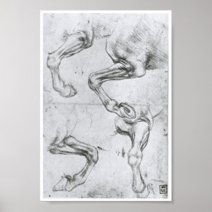Póster Estudo dos pés de um cavalo, Leonardo da Vinci