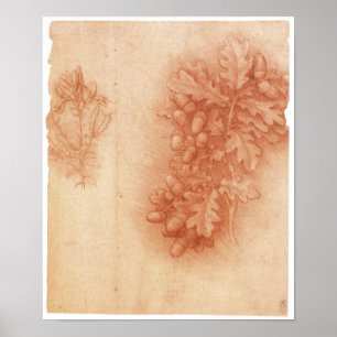 Poster Estudo para a pintura perdida, Leda, da Vinci