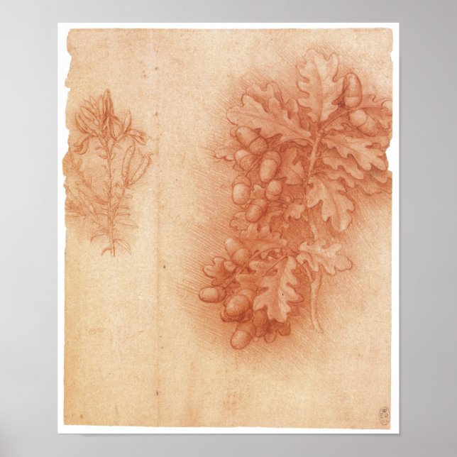 Poster Estudo para a pintura perdida, Leda, Da Vinci (Frente)
