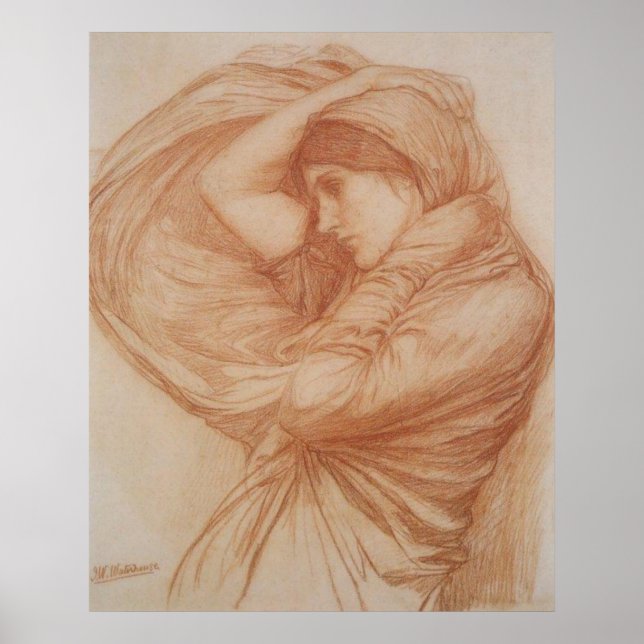 Poster Estudo para Boreas (Frente)