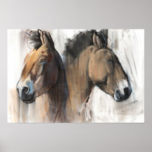 Poster Estudo principal