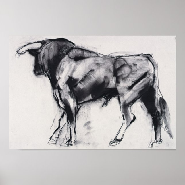 Póster Estudo Toro Azul (Frente)