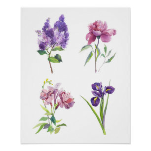 Póster Estudos de Aquarela Botânica – Lilás, Peônia, Íris