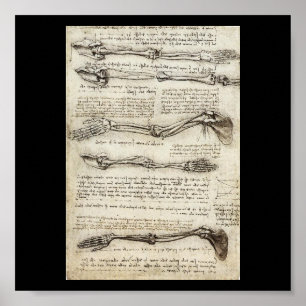 Póster Estudos do braço por Leonardo da Vinci C. 1510