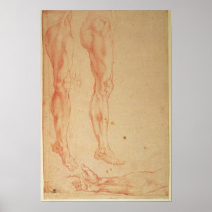 Póster Estudos dos pés e dos braços