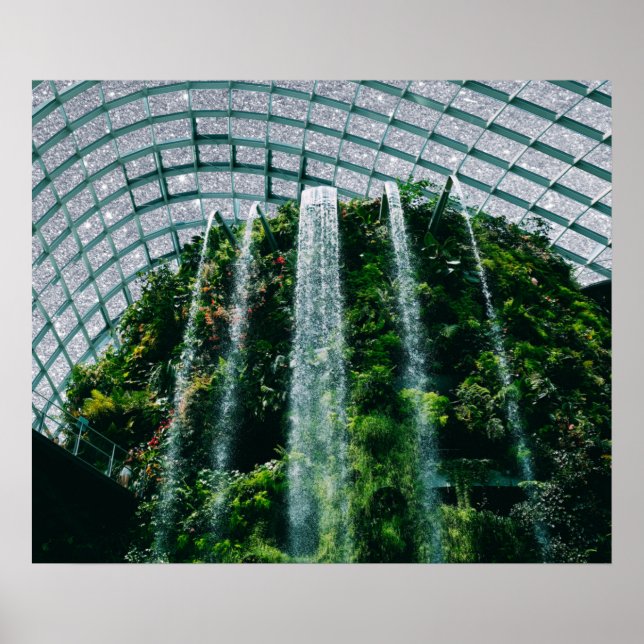 Poster estufa (Frente)