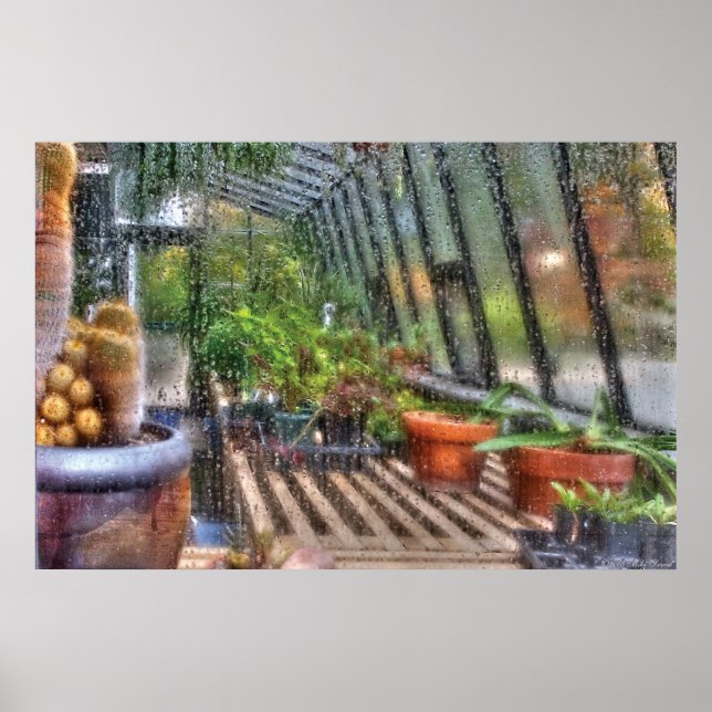 Poster Estufa - Numa Janela de Estufa (Frente)