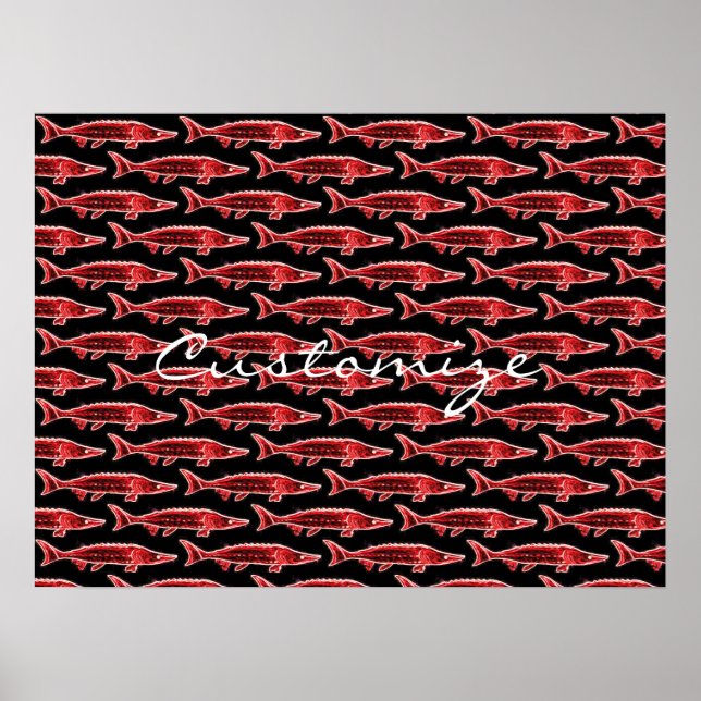 Poster esturjão vermelho nadando (Frente)