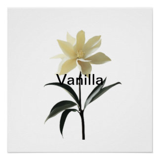 Póster Eteia Magnolia Grace