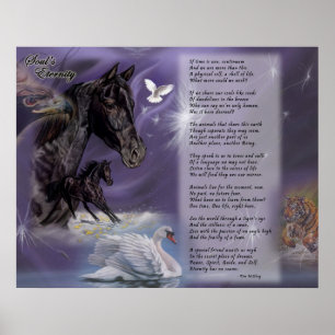 Póster Eternidade da Alma