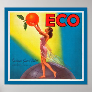 Poster Etiqueta alaranjada de Eco do vintage