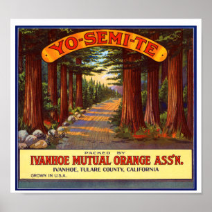 Póster Etiqueta alaranjada de Yo-Semi-Te do vintage