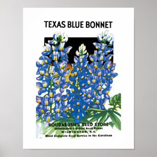 Póster Etiqueta azul do pacote da semente da capota de