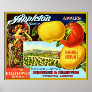 Poster Etiqueta da caixa da fruta do vintage