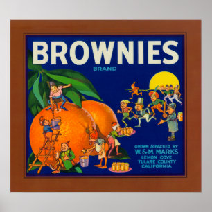 Póster Etiqueta da caixa do citrino da marca das brownies