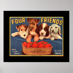 Póster Etiqueta da caixa do tomate do vintage dos amigos