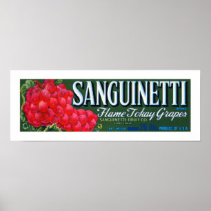 Poster Etiqueta das uvas de Sanguinetti