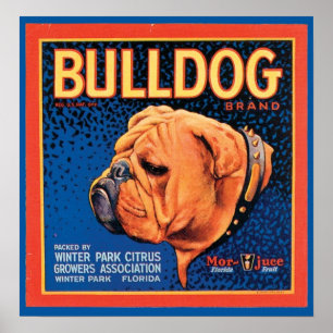 Poster Etiqueta de Marca do Vintage Bulldog