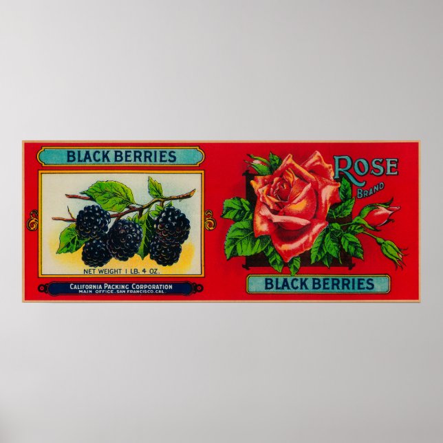 Póster Etiqueta de rosa Blackberry (Frente)