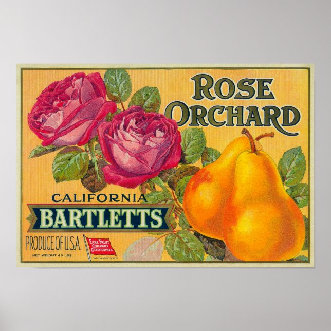 Póster Etiqueta de Taxa de Pear do rosa Orchard (Frente)
