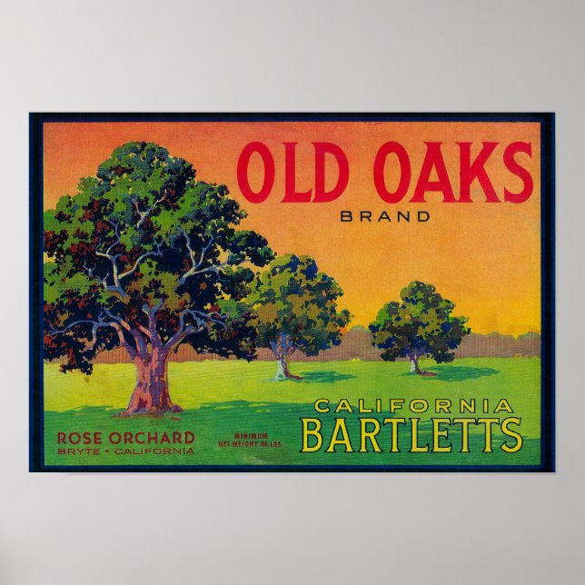 Póster Etiqueta de Taxa de Pera de Oaks AntigaBryte, CA (Frente)