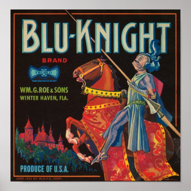 Póster Etiqueta de Taxa de Vintagem do Blu Knight (Frente)