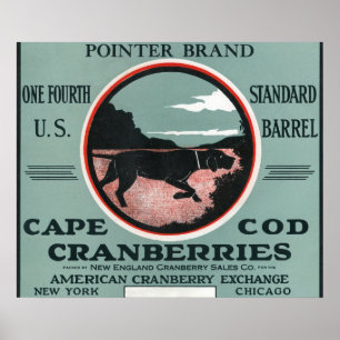 Póster Etiqueta do arando da marca do ponteiro de Cape