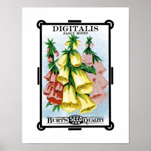 Póster Etiqueta do pacote da semente da digital