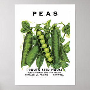 Poster Etiqueta do pacote da semente de ervilhas