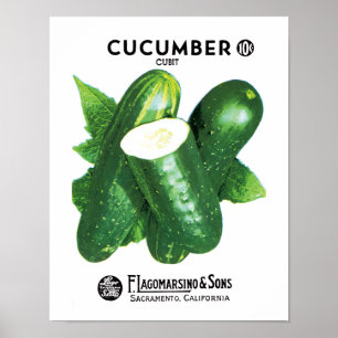 Póster Etiqueta do pacote da semente do pepino