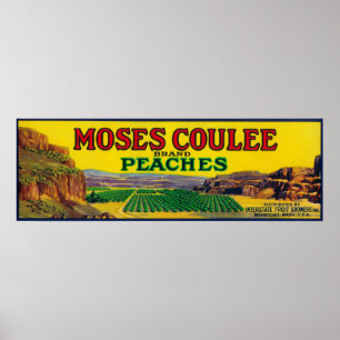 Póster Etiqueta do pêssego de Moses Coulee