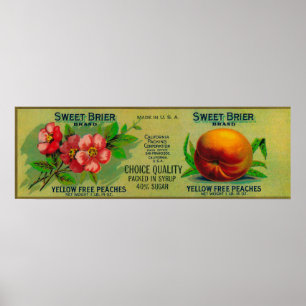 Poster Etiqueta doce do pêssego do Brier