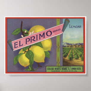 Póster Etiquetas velhas da caixa da fruta dos limões do