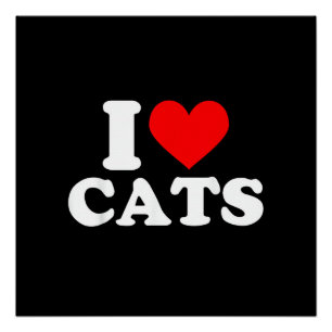 Póster Eu Adoro Gatos - Eu Adoro Gatos Eu Amo Gatos