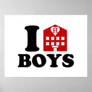 Póster Eu Adoro Hotel Boys