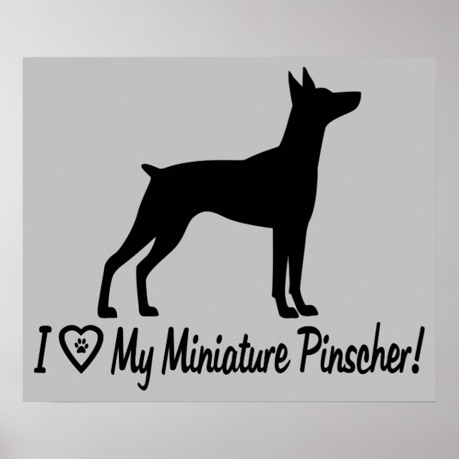 Póster Eu adoro minha miniatura Pinscher em Silhouette (Frente)