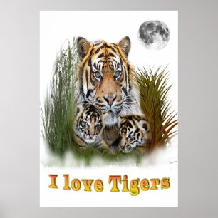 Póster Eu adoro tigres
