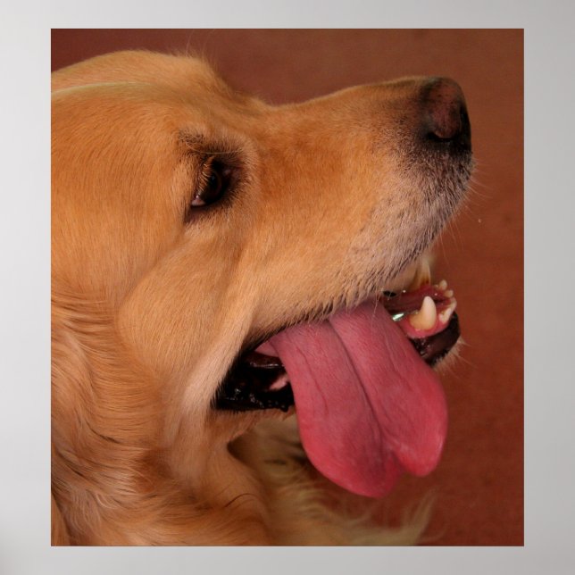 Poster Eu Ainda Quero Mais... (Frente)