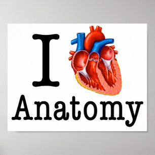 Póster Eu amo a anatomia