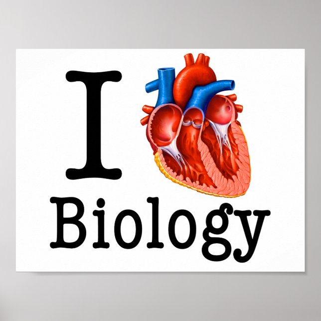 Póster Eu Amo Biologia (Frente)