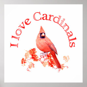Póster Eu amo cardeais