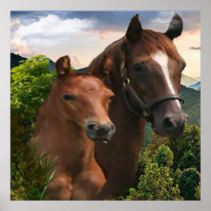 Poster Eu amo Cavalos